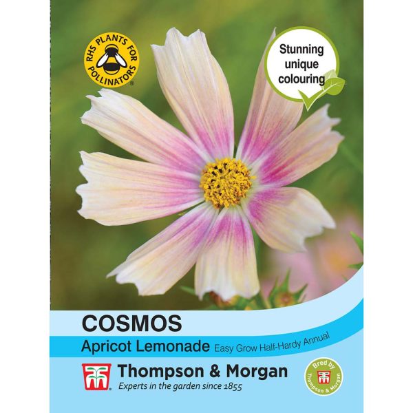 Thompson & Morgan Cosmos Apricot Lemonade Seeds