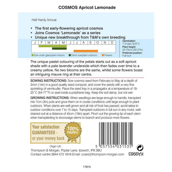 Thompson & Morgan Cosmos Apricot Lemonade Seeds - Image 2