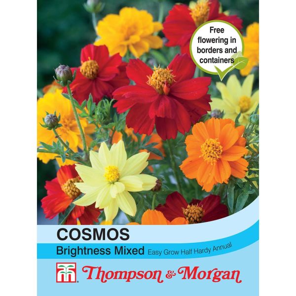 Thompson & Morgan Cosmos Brightness Mixed Seeds