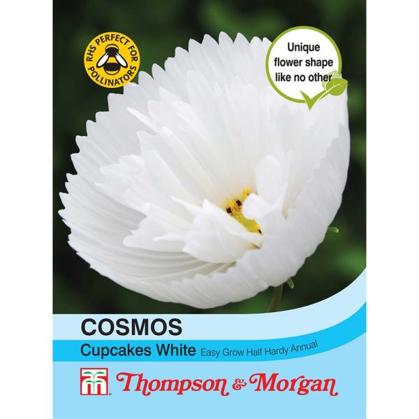 Thompson & Morgan Cosmos Cupcakes White Seeds