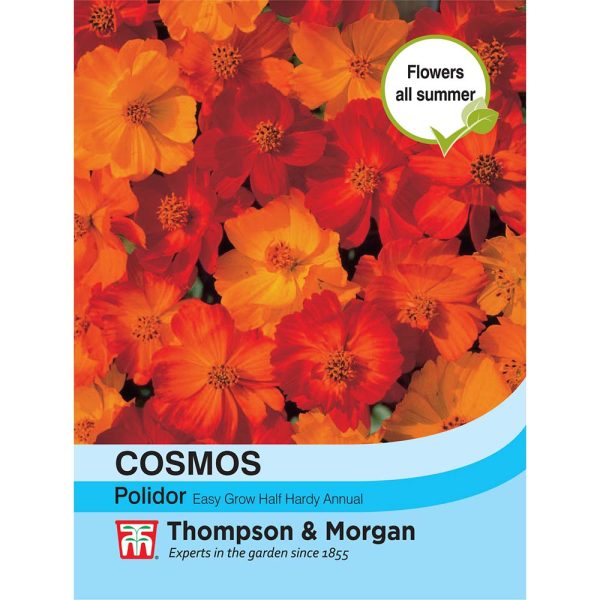 Thompson & Morgan Cosmos Polidor Seeds