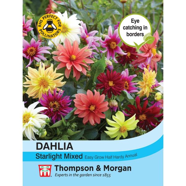 Thompson & Morgan Dahlia Starlight Mixed Seeds