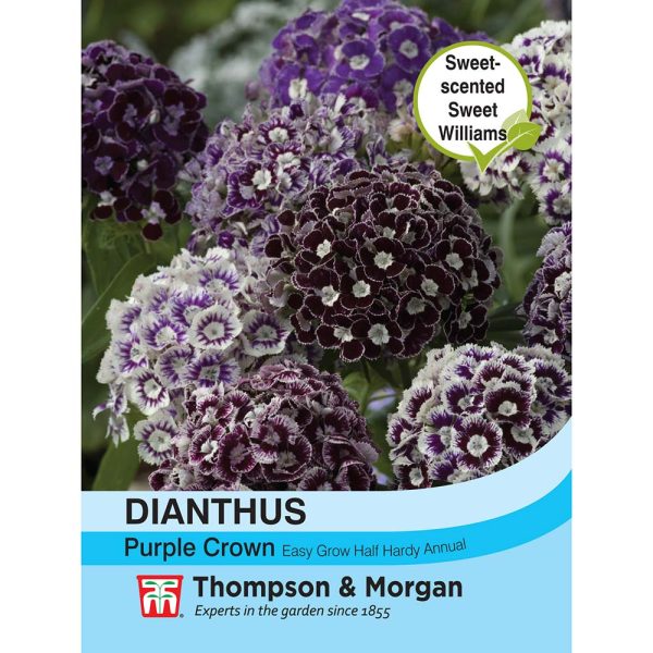 Thompson & Morgan Dianthus Purple Crown Seeds