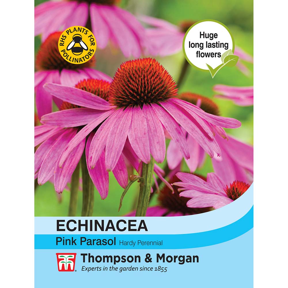 Thompson & Morgan Echinacea Pink Parasol Seeds - Leafwise