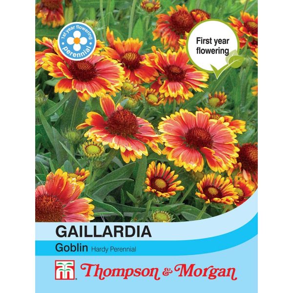 Thompson & Morgan Gaillardia Goblin Seeds