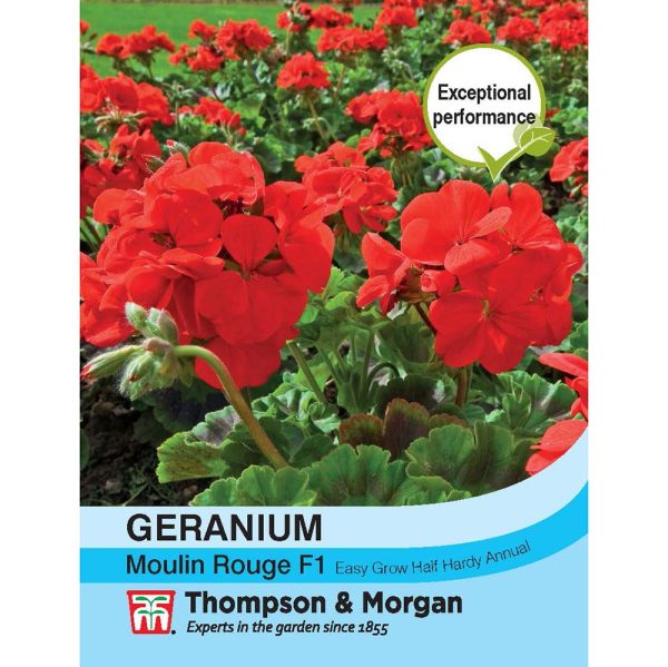 Thompson & Morgan Geranium Moulin Rouge Seeds