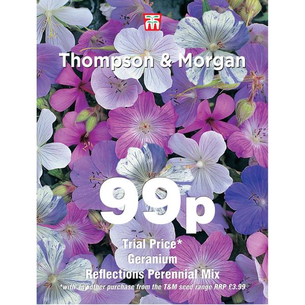 Thompson & Morgan Geranium Reflections