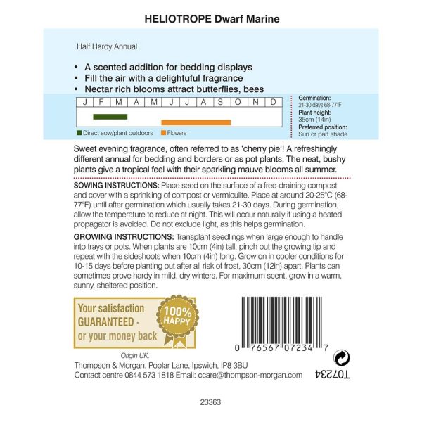 Thompson & Morgan Heliotropum Dwarf Marine Seeds - Image 2
