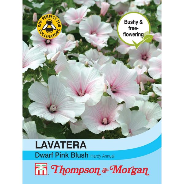 Thompson & Morgan Lavatera Dwarf Pink Blush Seeds