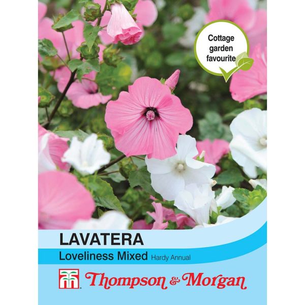 Thompson & Morgan Lavatera Loveliness Mixed Seeds