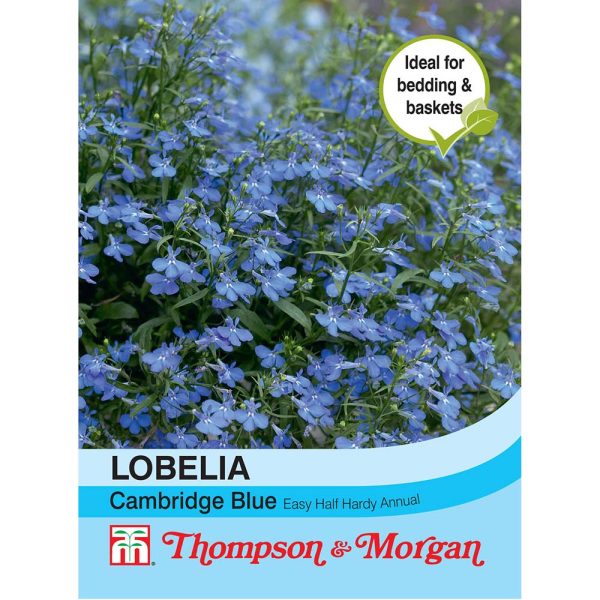 Thompson & Morgan Lobelia Cambridge Blue Seeds