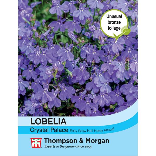 Thompson & Morgan Lobelia Crystal Palace