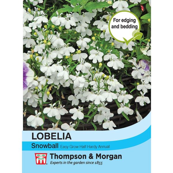 Thompson & Morgan Lobelia Snowball Seeds