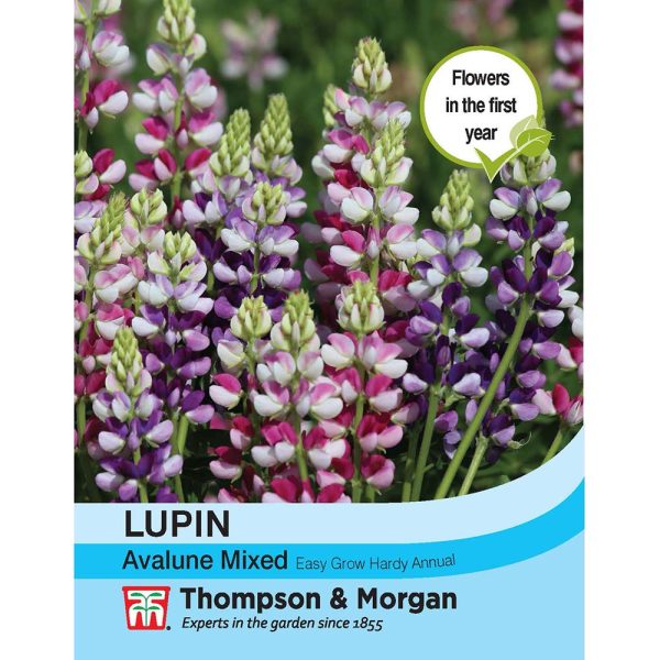 Thompson & Morgan Lupin Avalune Mixed Seeds