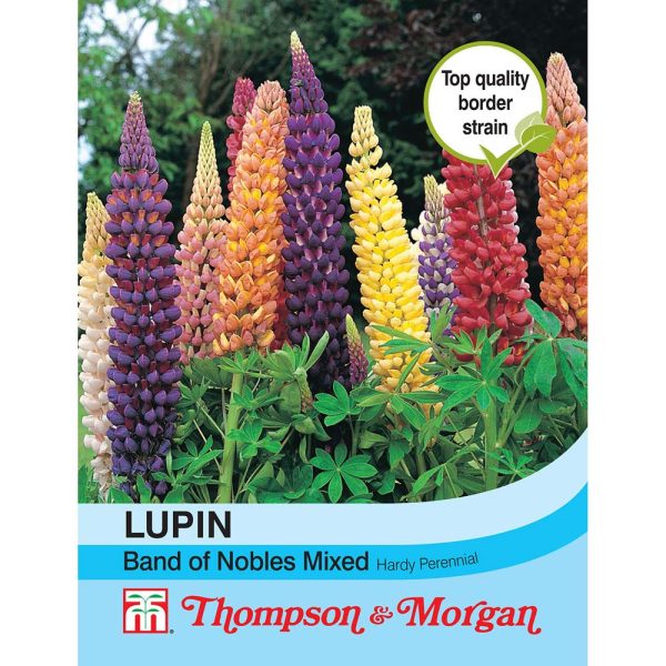 Thompson & Morgan Lupin Band Of Nobles Mixed Seeds