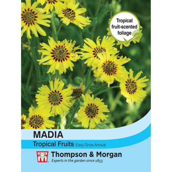 Thompson & Morgan Madia Elegans Tropical Fruits Seeds