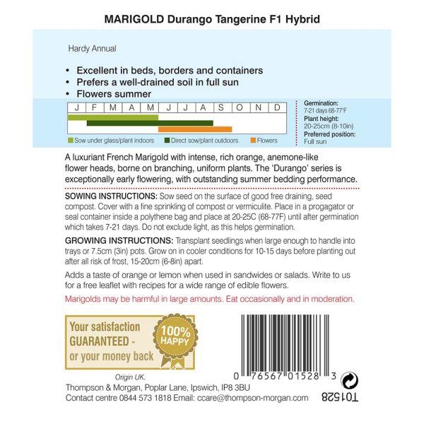 Thompson & Morgan Marigold Durango Tangerine F1 Hybrid Seeds - Image 2