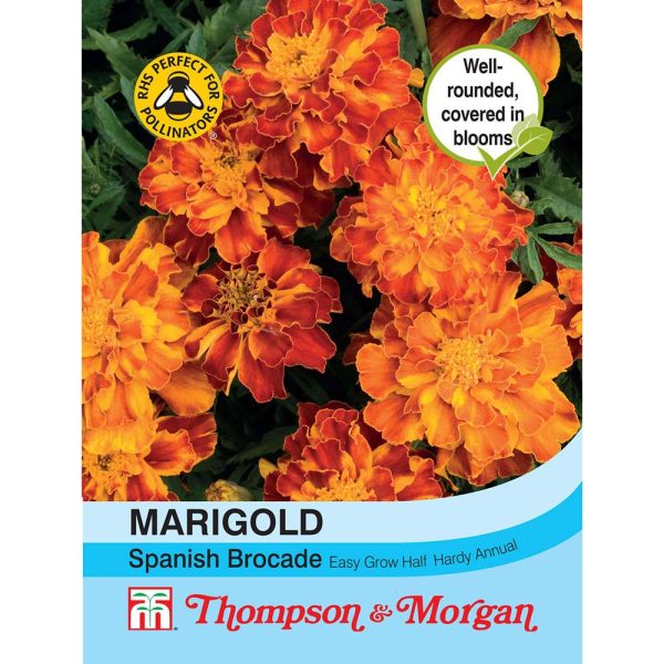 Thompson & Morgan Marigold Spanish Brocade (French) Seeds