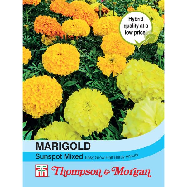 Thompson & Morgan Marigold Sunspot Mixed Seeds