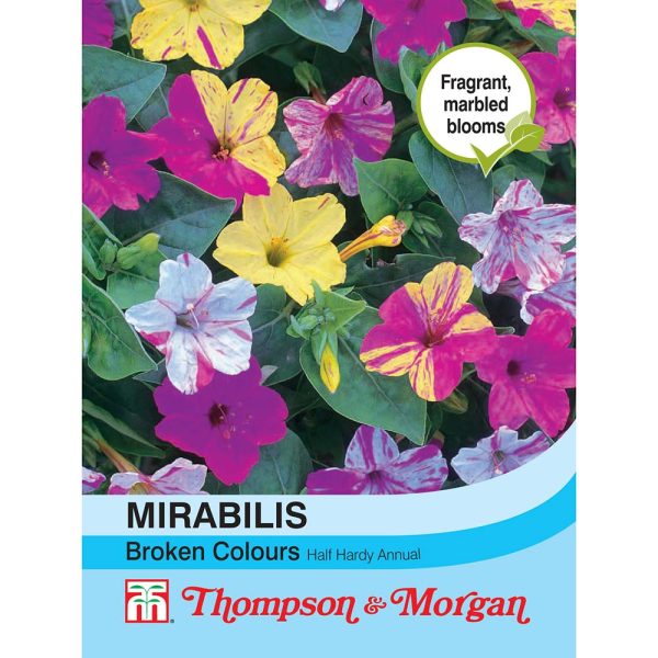 Thompson & Morgan Mirabilis Jalapa Broken Colours Seeds