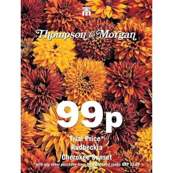 Thompson & Morgan Rudbeckia Cherokee Sunset