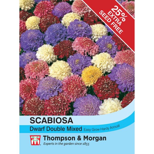 Thompson & Morgan Scabiosa Dwarf Double Mixed Seeds