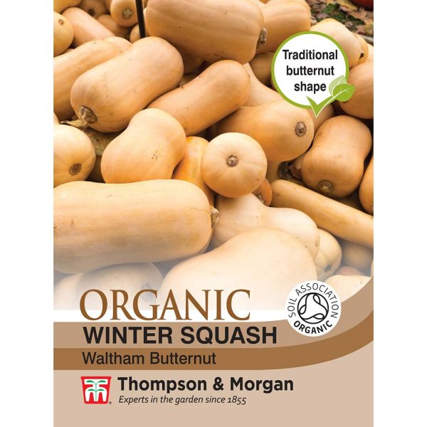 Thompson & Morgan Squash Waltham Butternut Winte Organic