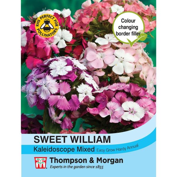 Thompson & Morgan Sweet William Kaleidoscope Mixed Seeds