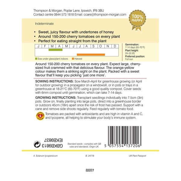 Thompson & Morgan Tomato Honeycomb F1 - Image 2