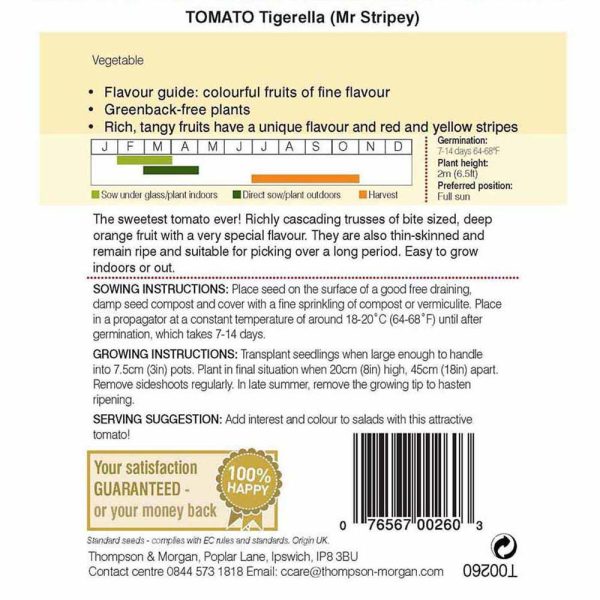 Thompson & Morgan Tomato Tigerella Mr Stripey - Image 2