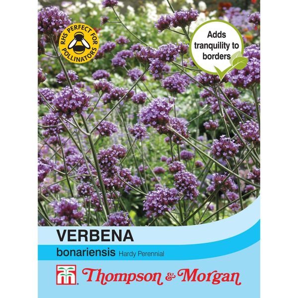 Thompson & Morgan Verbena Bonariensis Seeds