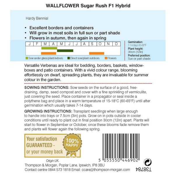 Thompson & Morgan Wallflower Sugar Rush F1 Hybrid Seeds - Image 2