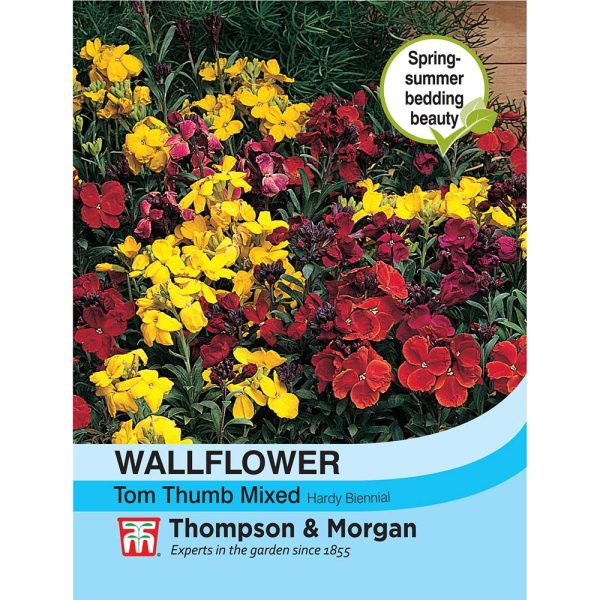 Thompson & Morgan Wallflower Tom Thumb Seeds