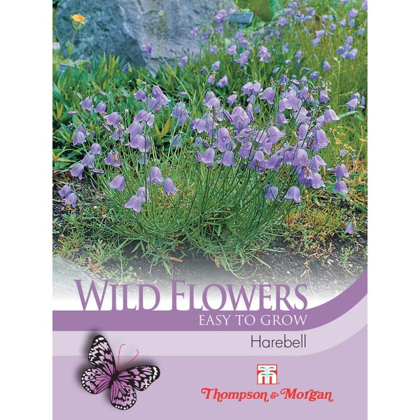 Thompson & Morgan Wild Flower Harebell Seeds