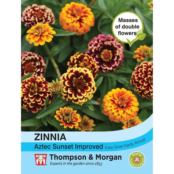 Thompson & Morgan Zinnia Aztec Sunset Improved Seeds