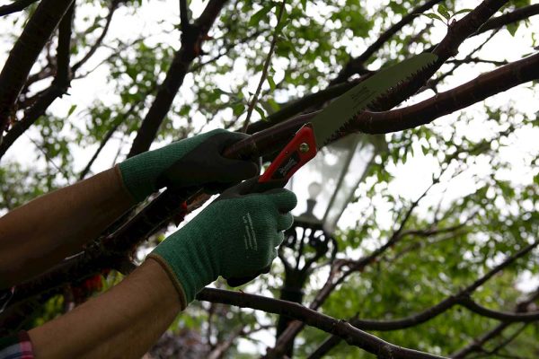 Wilkinson Sword Turbo Folding Saw - Image 2