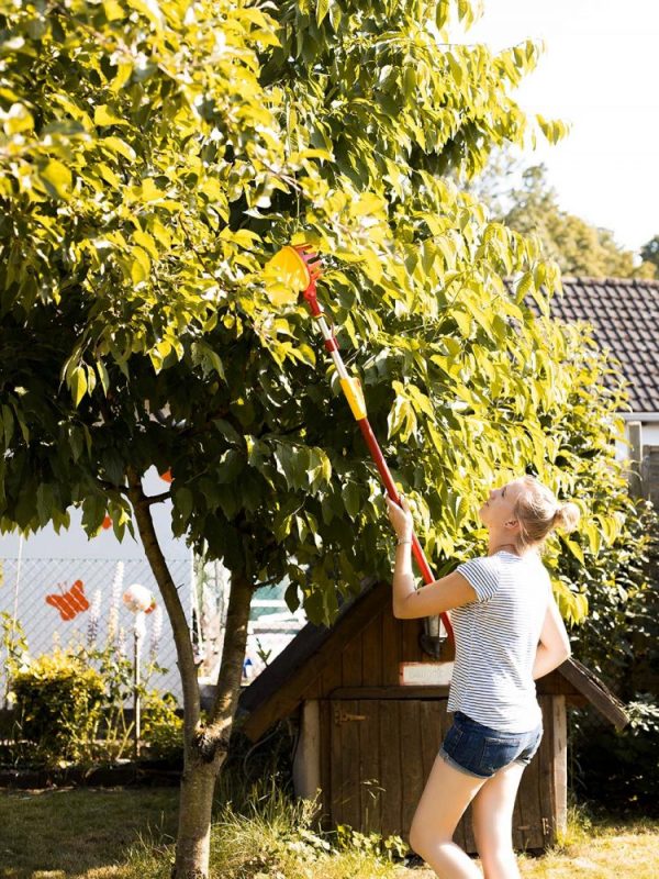 WOLF-Garten Multi-Change Adjustable Fruit Picker - Image 3