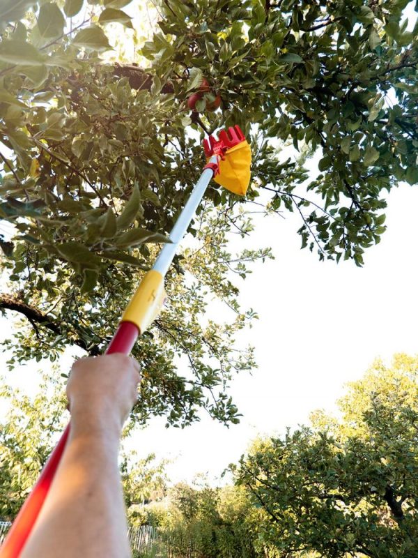 WOLF-Garten Multi-Change Adjustable Fruit Picker - Image 4