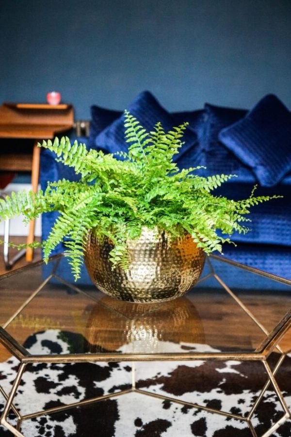 Ivyline Gold and Black Hammered Bowl