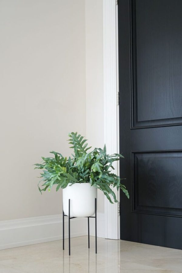 Ivyline Minimo Plant Stand in Black