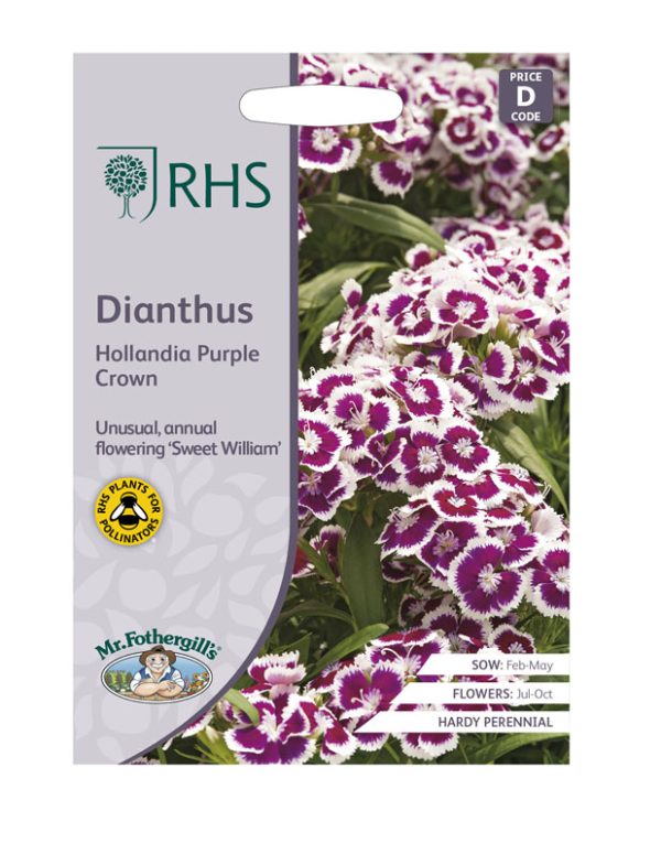 Mr Fothergill's Dianthus Hollandia Purple Crown