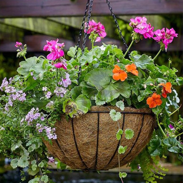 Tom Chambers Hanging Basket Coco Fibre Liner 2 Pack - Leafwise